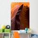 Lower Antelope Slot Canyon Wall Mural