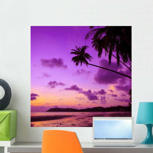 Tropical Beach with Palm