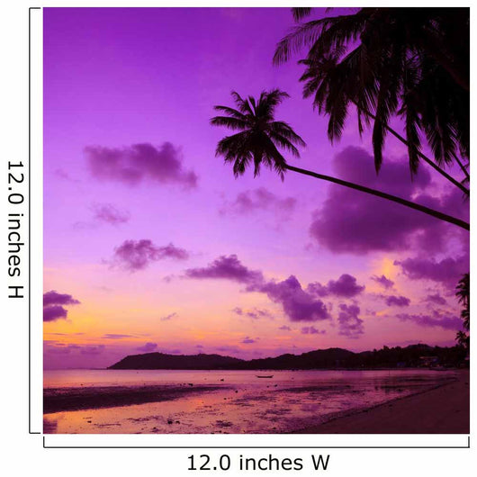 Tropical Beach with Palm