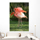 Flamingos Wall Mural