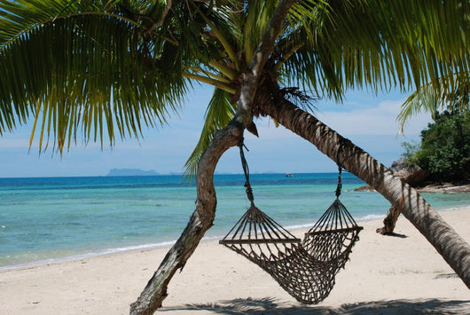 Hammock Wall Mural