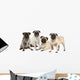 Vier MÃ¶pse nebeneinander isoliert auf weiÃŸ - pugs isolated Wall Decal