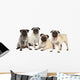 Vier MÃ¶pse nebeneinander isoliert auf weiÃŸ - pugs isolated Wall Decal