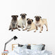 Vier MÃ¶pse nebeneinander isoliert auf weiÃŸ - pugs isolated Wall Decal