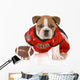 Football Dog Wall Decal