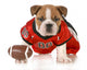 Football Dog Wall Decal
