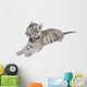 Baby White Tiger
