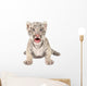 Baby White Tiger