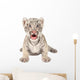 Baby White Tiger