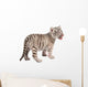Baby White Tiger