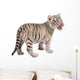 Baby White Tiger