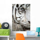 White Tiger Eye Wall Mural