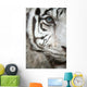 White Tiger Eye Wall Mural