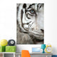 White Tiger Eye Wall Mural