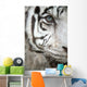 White Tiger Eye Wall Mural