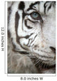 White Tiger Eye Wall Mural