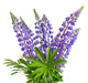 Wild lupines Wall Decal