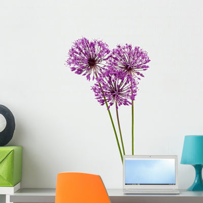 Allium Flowers Wall Decal shown on a wall