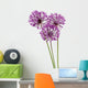 allium flowers Wall Decal