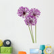allium flowers Wall Decal