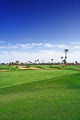 Golf Course with Palm