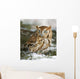 Screech owl(otus asio) Wall Mural