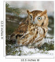 Screech owl(otus asio) Wall Mural