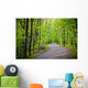 Path Forest