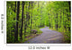 Path Forest