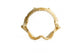 Shark Jaw White