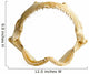 Shark Jaw White