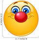 Emoticon With Clown Nose Wall Decal