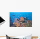 Colorful Underwater Landscape Reef