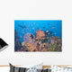 Colorful Underwater Landscape Reef