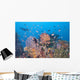 Colorful Underwater Landscape Reef