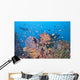 Colorful Underwater Landscape Reef