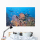 Colorful Underwater Landscape Reef