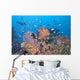 Colorful Underwater Landscape Reef