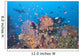 Colorful Underwater Landscape Reef