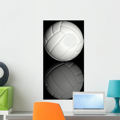 Volleyball Wall Mural shown on a wall