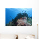 Colorful Underwater Reef Raja
