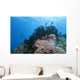 Colorful Underwater Reef Raja