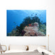 Colorful Underwater Reef Raja