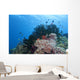 Colorful Underwater Reef Raja