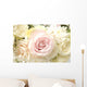 Roses Wall Mural
