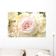 Roses Wall Mural