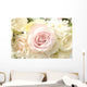 Roses Wall Mural