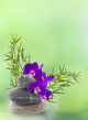 Asian Bouquet, Orchid, Bamboo and Pebbles Wall Mural