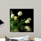 White Reflected Tulips Wall Mural