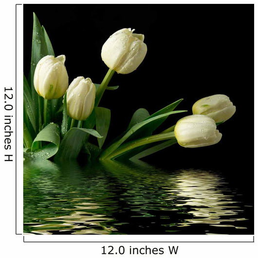 White Reflected Tulips Wall Mural